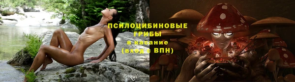 дмт Алексин