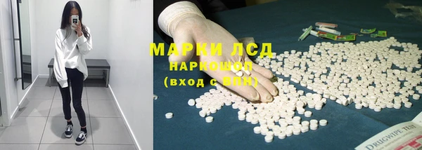 PSILOCYBIN Алзамай