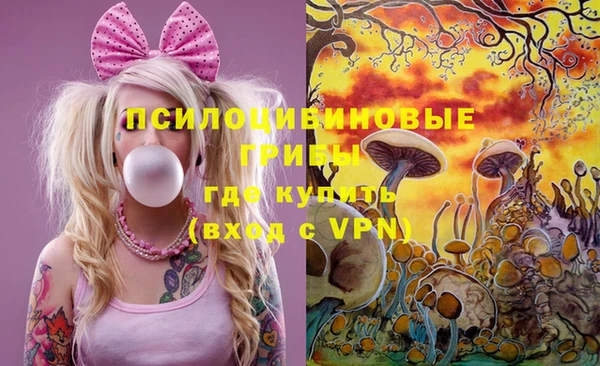 дмт Алексин