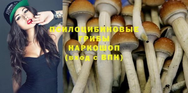 PSILOCYBIN Алзамай